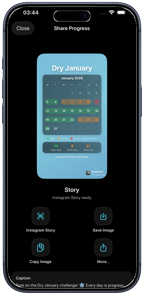 iPhone showing Instagram Story challenge progress celebration